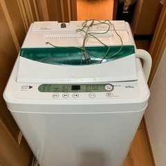 家電 生活家電 洗濯機