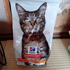 アダルトチキン猫用