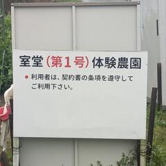 室堂体験農園(家庭菜園)募集中