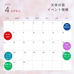 4月のイベント情報　苔テラリウム