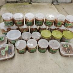 nemo ムーンランダーテーブル-能勢ＹＧ血統オオクワガタ２８頭