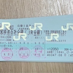 【ネット決済・配送可】チケット 新幹線/鉄道切符