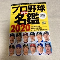 美品　プロ野球名鑑　2020年　カラー