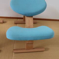 バランスチェア　イージー