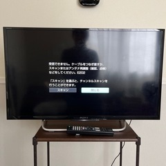 家電 テレビ 液晶テレビ