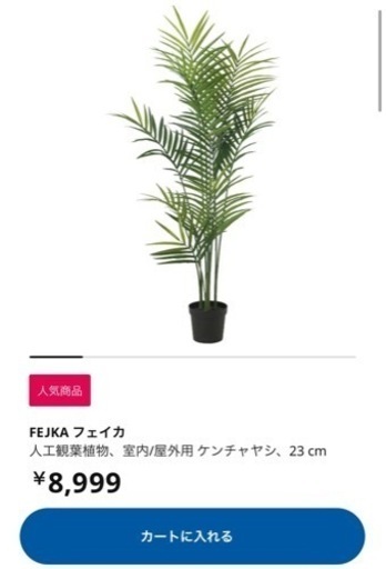 IKEA フェイカ　ケンチャヤシ　観葉植物　室内