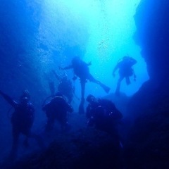 必見‼️海が好きな人っ🪼🐚🌊