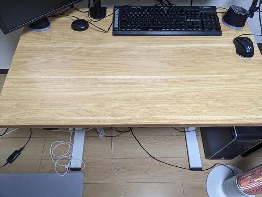 FlexiSpot 電動式スタンディングデスク EG1 昇降デスク