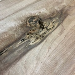 大特価 無垢 秋田杉 一枚板 テーブル、カウンターテーブル等に