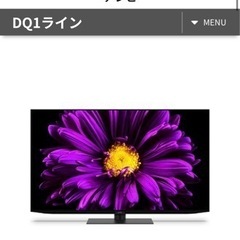【美品】大型テレビ 55型 有機EL  