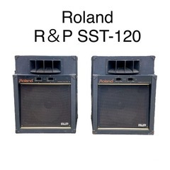 RolandローランドR＆P SST-120 PAスピーカー