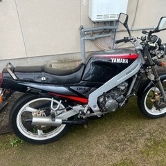 TZR125 3TY