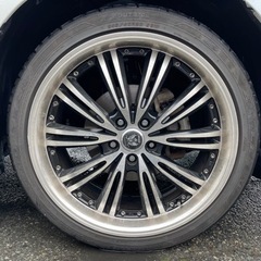 ロクサーニEX マトリックスジュニア　20㌅