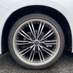 ロクサーニEX マトリックスジュニア　20㌅