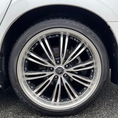 ロクサーニEX マトリックスジュニア　20㌅