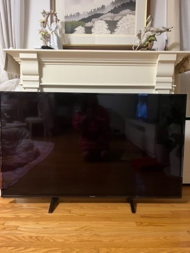 Panasonic TH-55FX600 美品　Viera 2019