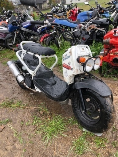 ホンダ　ズーマー　書類付実働ベース車両