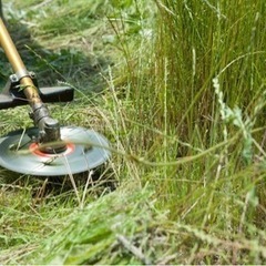 田んぼの草刈り、お庭の草刈り、木の伐採致します。の画像