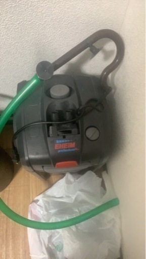 熱帯魚、水槽