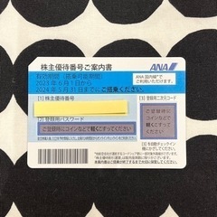 【ネット決済】ANA株主優待券１枚(有効期間2024年5月31日)