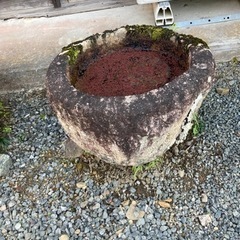 水鉢　庭　壺