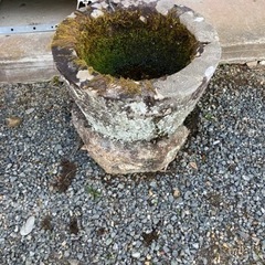 水鉢　庭　壺