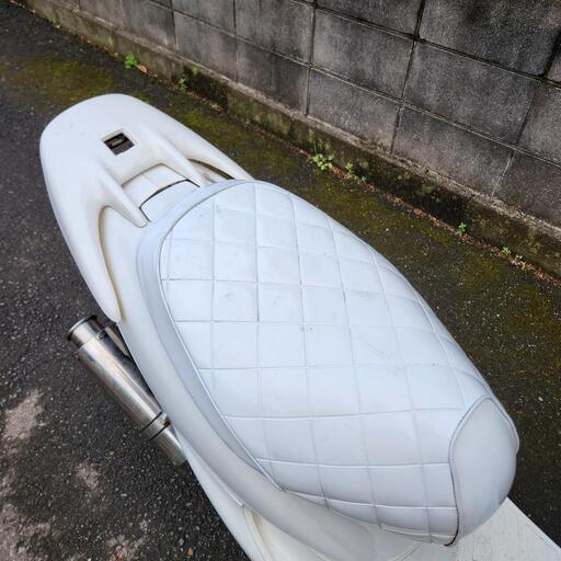 ホンダ ライブディオZX ホワイト エナメルシート 千葉県流山市 配達