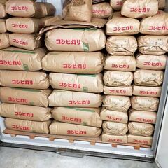 コシヒカリ玄米　30Kg　　R5年　農家保有米　