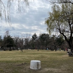 🌈🌈✨郡山で遊び隊🌈🌈✨4月7日開成山公園お花見参加者募集中！！😁 - メンバー募集