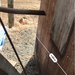 現状渡し木造　物置