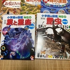 小学館の図鑑ネオ　香川元太郎の迷路シリーズ　５冊セット