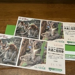 ズーラシアor金沢動物園チケット2枚