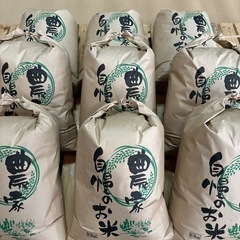 農家直送のお米【令和5年産】夢つくし 玄米10キロ