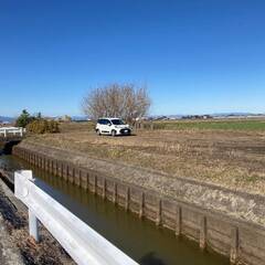 【貸地】海津市内の雑種地　577㎡　どんなに騒音出しても大丈夫！　近隣住居なし！　土場利用可能！ - 賃貸（マンション/一戸建て）