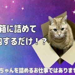 【挑戦者３名募集】ミッション１＊パズルゲームみたい？!箱の中を製...