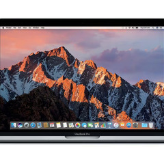 価格更新【超美品】MacBook Pro 13インチ スペースグ...