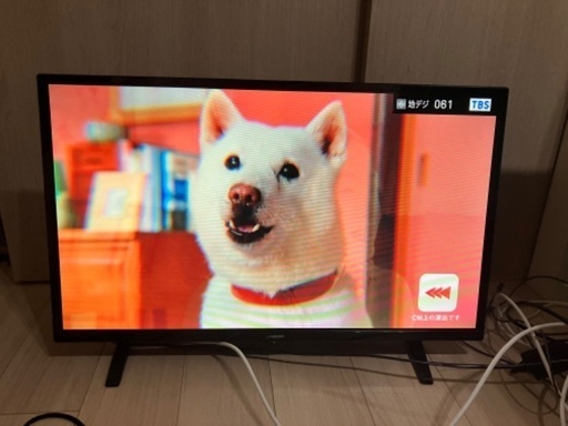 テレビ、冷蔵庫、電子レンジ、オーブントースター、ゴミ箱