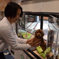 ☆ペットショップワンラブ☆カインズ三浦店　販売スタッフ募集 − 神奈川県