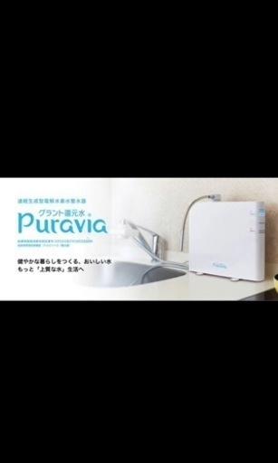 グラント　プラヴィア　新品未使用　カートリッジ2個付き