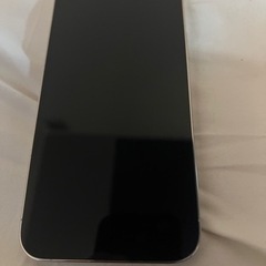 【極美品】iphone 13Pro Max 傷なし