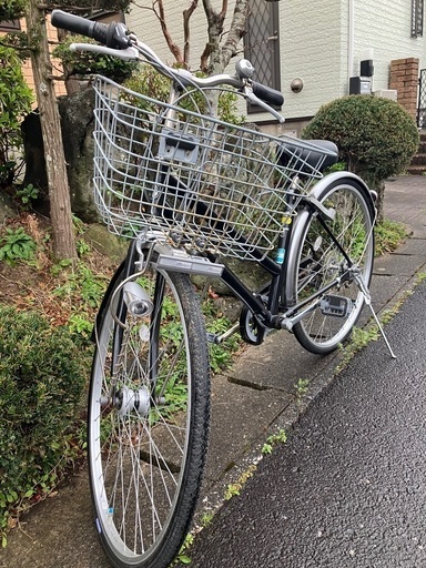 値下げしました!!】LOUIS GARNEAU 16インチ キッズ用自転車 ルイガノ