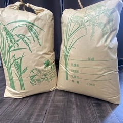 ⭐️新米30kg玄米‼️