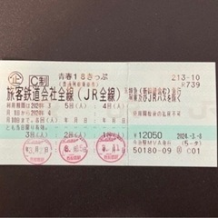 【ネット決済・配送可】青春18切符　２回分