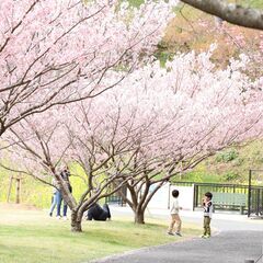 3月30日 浜松フラワーパークで🌸＆🌷撮影会やります。参加者募集...