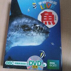 学研のLIVE図鑑　魚　本/CD/DVD 文芸