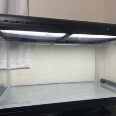 決まりました】90cmガラス水槽 ろ過装置、ヒーター付き