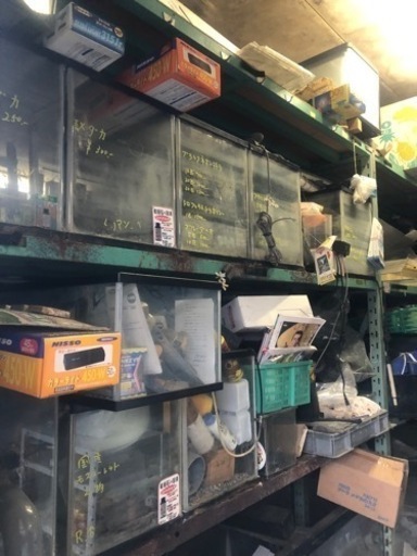 水槽やその他関連商品