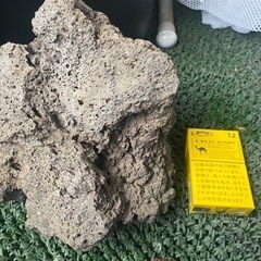 テラリウム、アクアリウム用の石