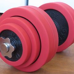 ♪LEADING EDGE/リーディングエッジ ダンベル 30kg×2 札幌♪