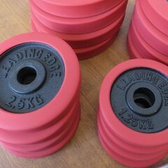 ♪LEADING EDGE/リーディングエッジ ダンベル 30kg×2 札幌♪